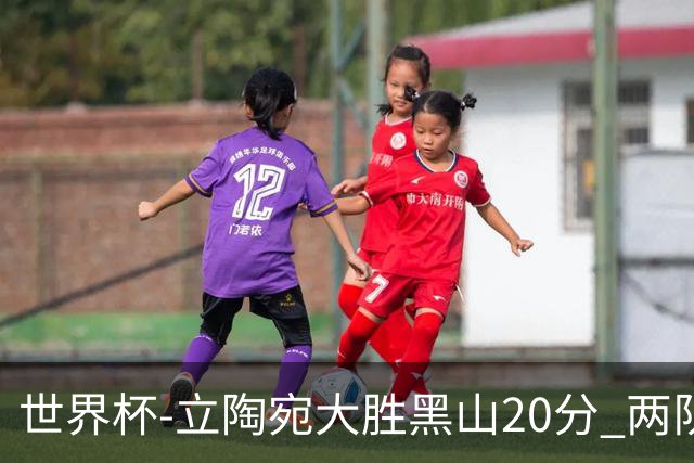 世界杯-立陶宛大胜黑山20分 两队携手晋级16强