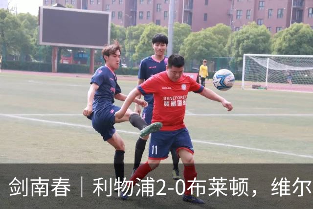 剑南春｜利物浦2-0布莱顿，维尔茨造格罗斯乌龙，伊萨克破门