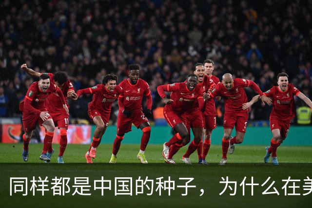 同样都是中国的种子，为什么在美国种出的水稻，亩产要比中国高？