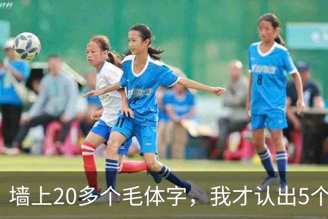 墙上20多个毛体字，我才认出5个！能全认出来的，读书是真下功夫了。学草书应该反复练一本帖，还是多看几家？
