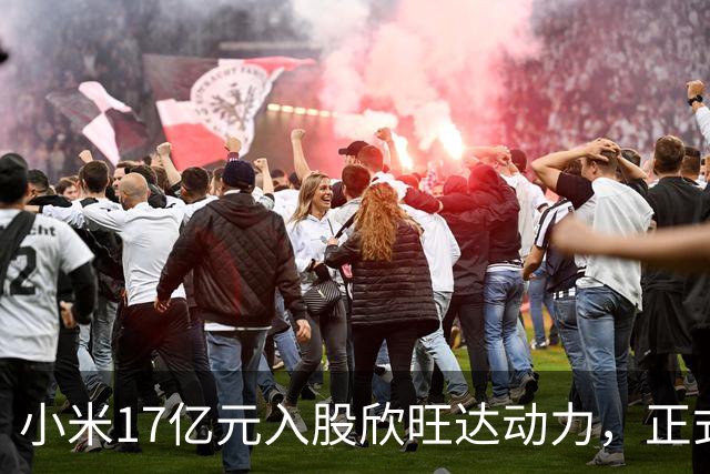 小米17亿元入股欣旺达动力，正式成为第三大股东