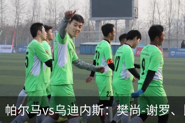 帕尔马vs乌迪内斯：樊尚-谢罗、比拉勒-图雷首发，扎尼奥洛、凯南-戴维斯出战