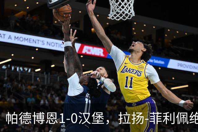 帕德博恩1-0汉堡，拉扬-菲利佩绝杀