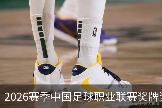 2026赛季中国足球职业联赛奖牌奖杯奖盘供应商征集-结果公告